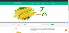 企业网站建设搜索引擎优化技术在网站的应用(yòng)